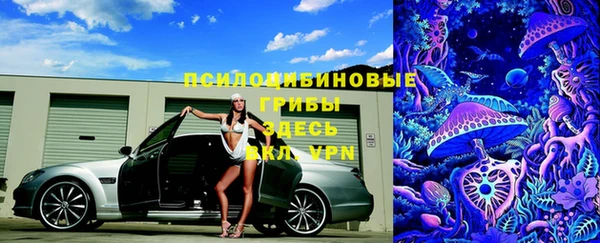 бошки Баксан