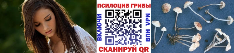Псилоцибиновые грибы Psilocybine cubensis  Переславль-Залесский 